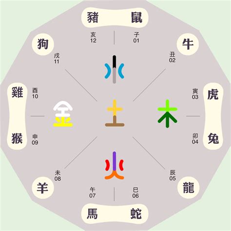 五行代表動物|动物的五行属性